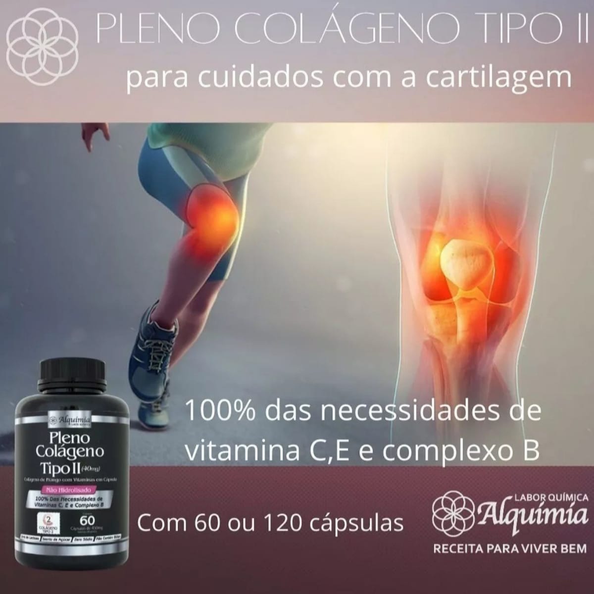 Colágeno Tipo 2 40mg Leve 3 Pague 2 Alquimia | 180 cápsulas