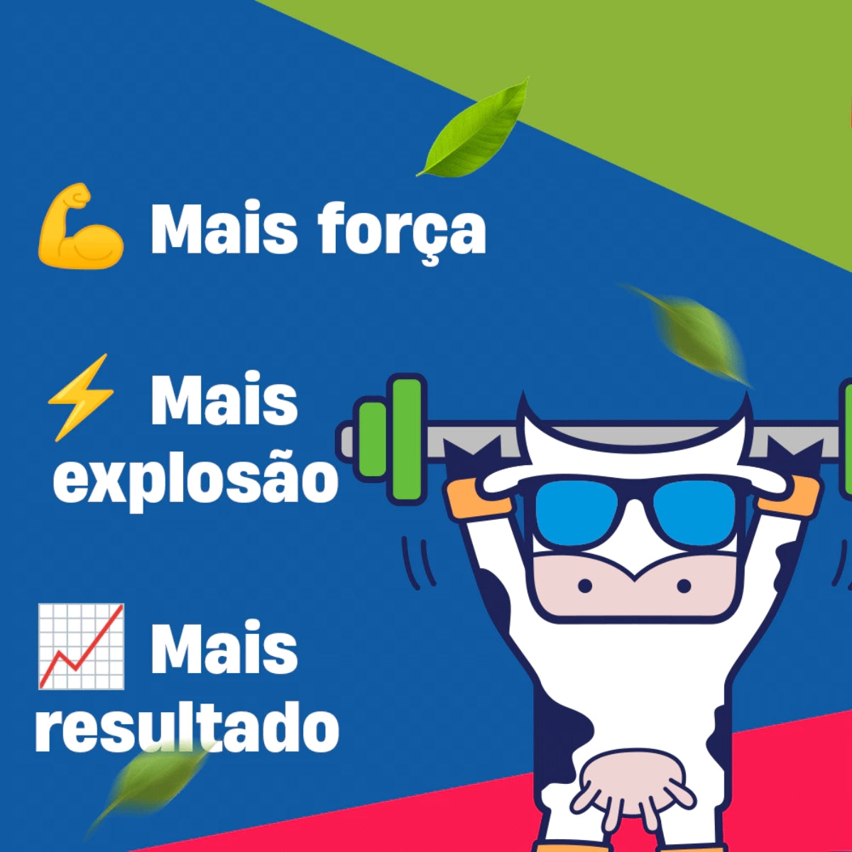 9515307d852dabcc4f904a87e1195d24