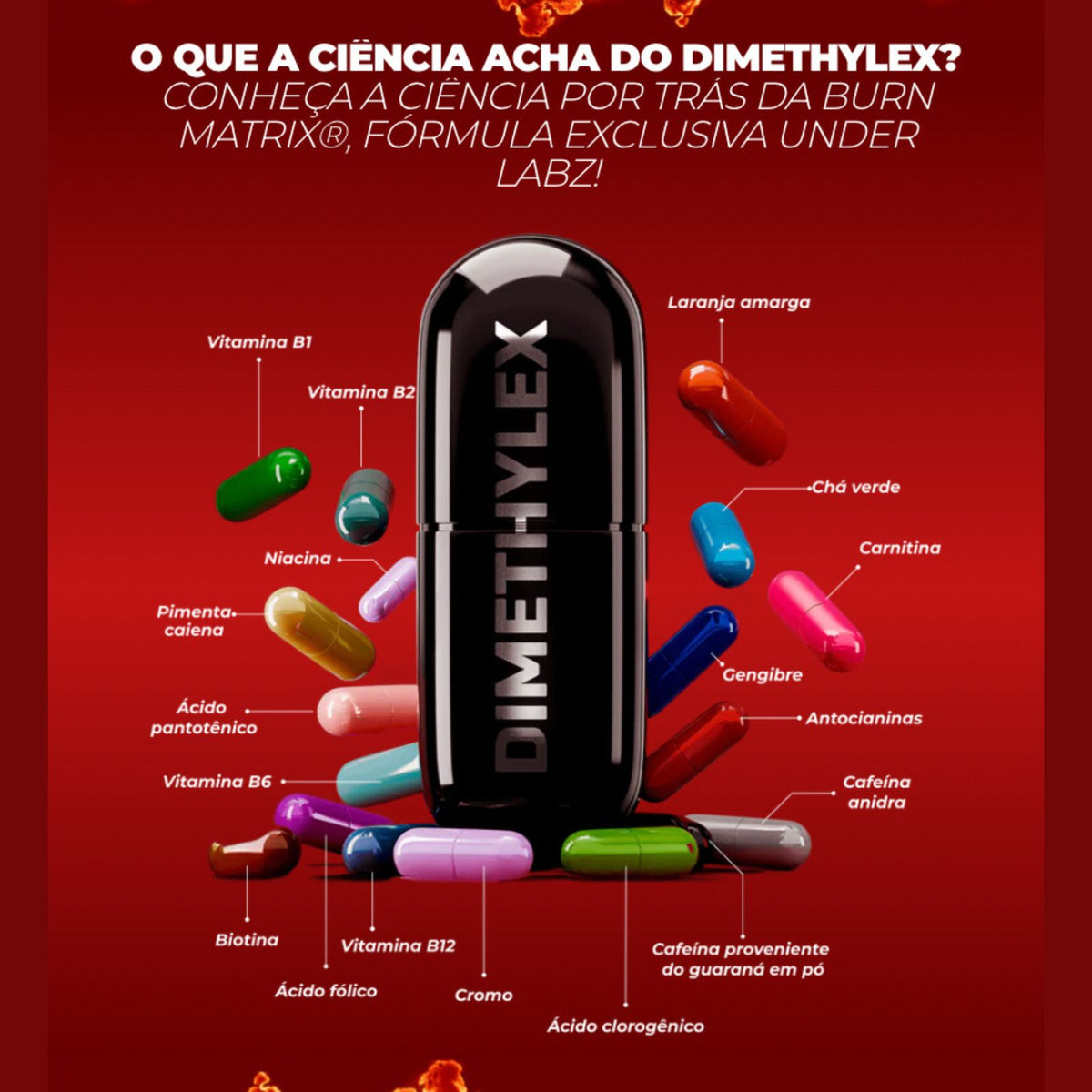 Dimethylex Edição Limitada Thermogenic  Under Labz | 60 caps
