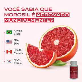 Morosil Galena | Labor Química Alquimia | 30 cápsulas