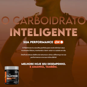 Palatinose Dux | 400g Sem Sabor