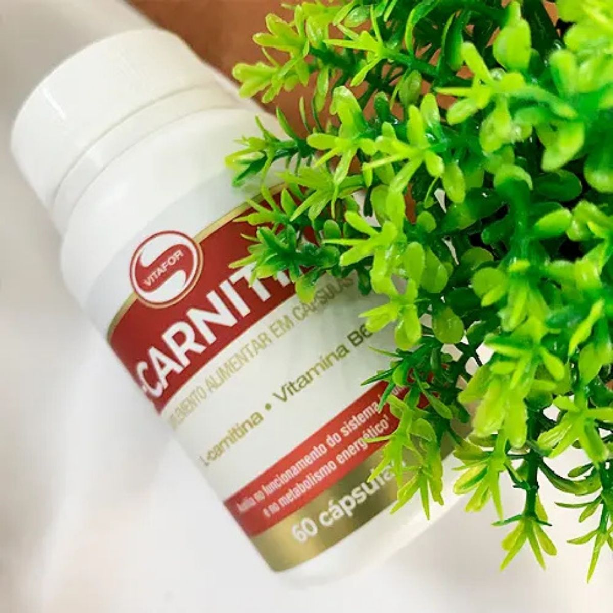 L Carnitina Vitafor | 60 cápsulas