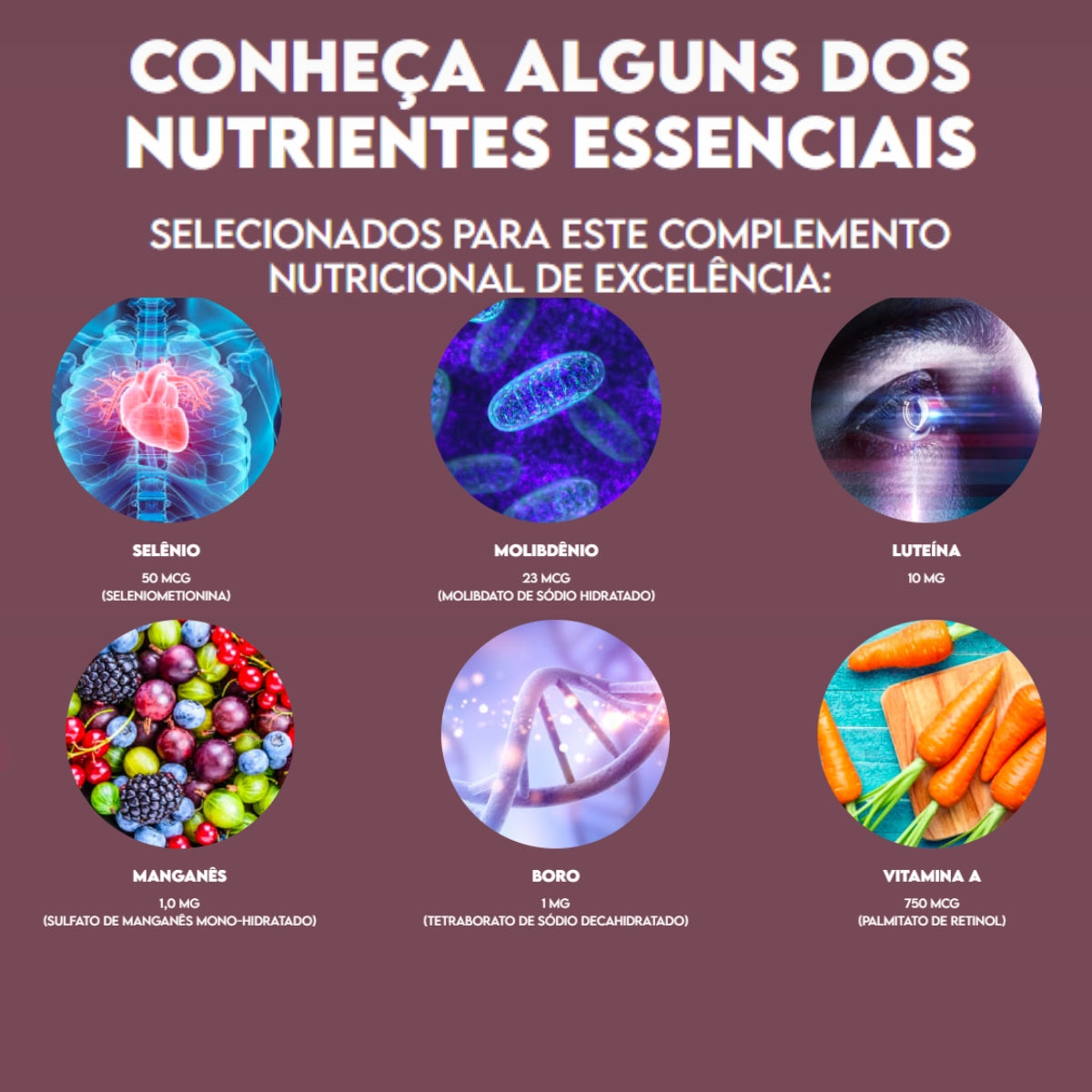 Alpha Women Multivitamínico para Mulheres Puravida | 60 cápsulas