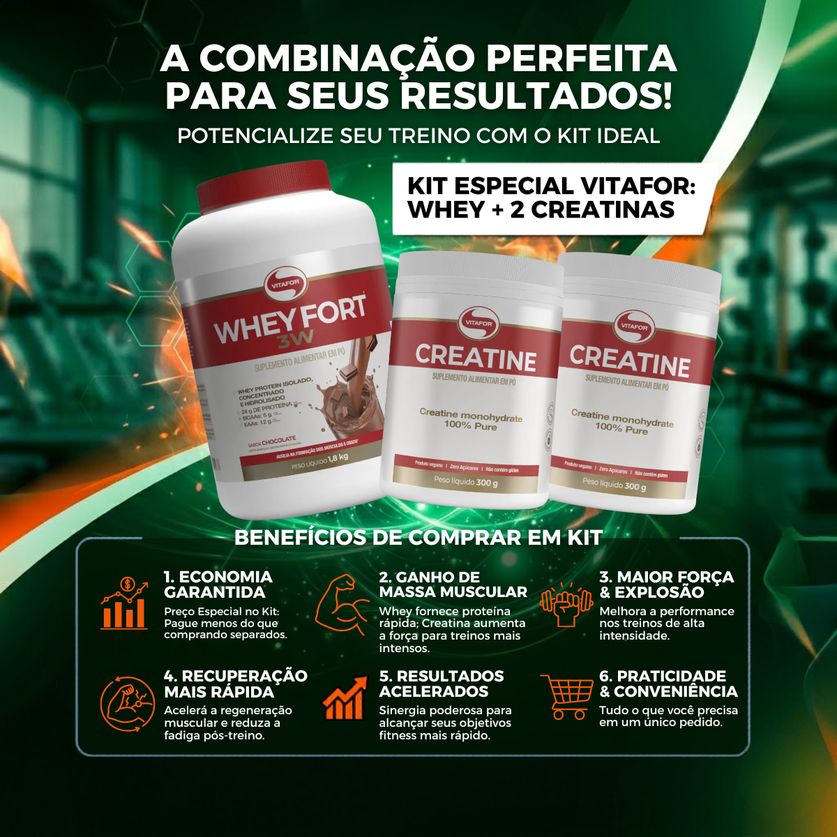 Whey Fort Chocolate (1,8kg) +2 Creatinas de (300g) – Vitafor