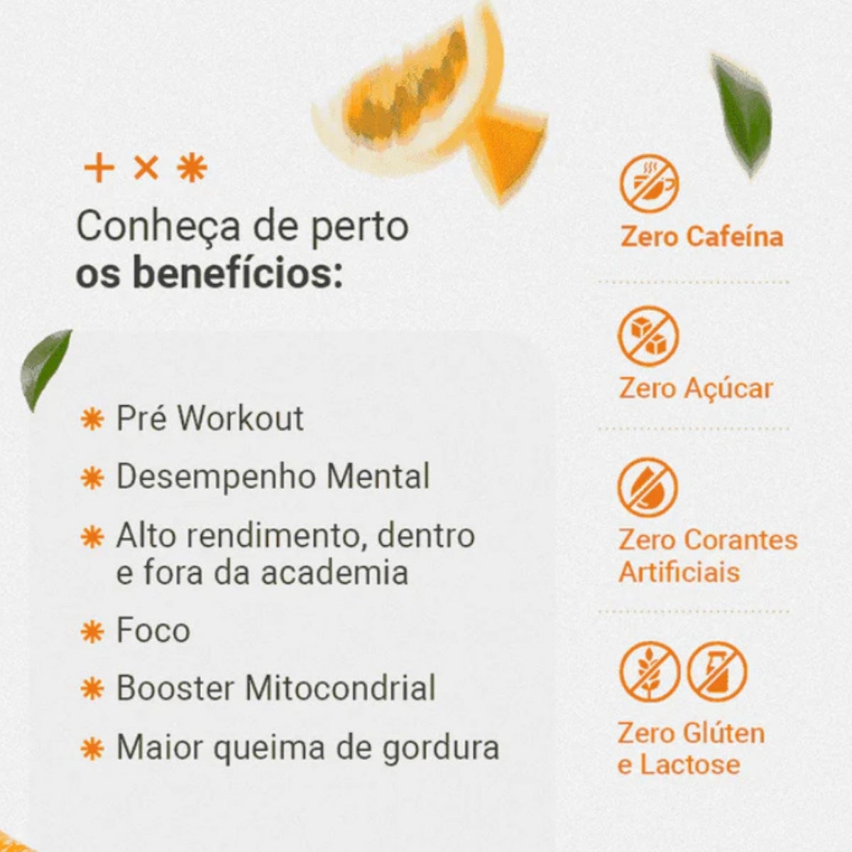 True Energyzer & Focus Frutas Amarelas | 450g