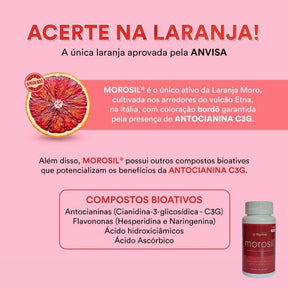Morosil Galena | Labor Química Alquimia | 30 cápsulas