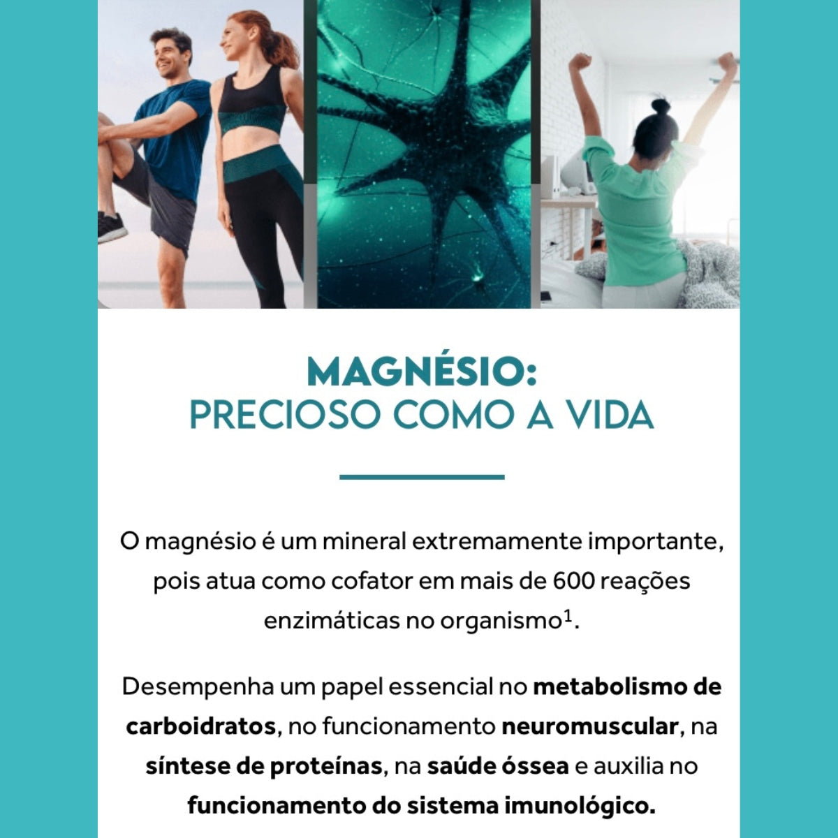 07335ba3b1795b1561251f06a240fdf3