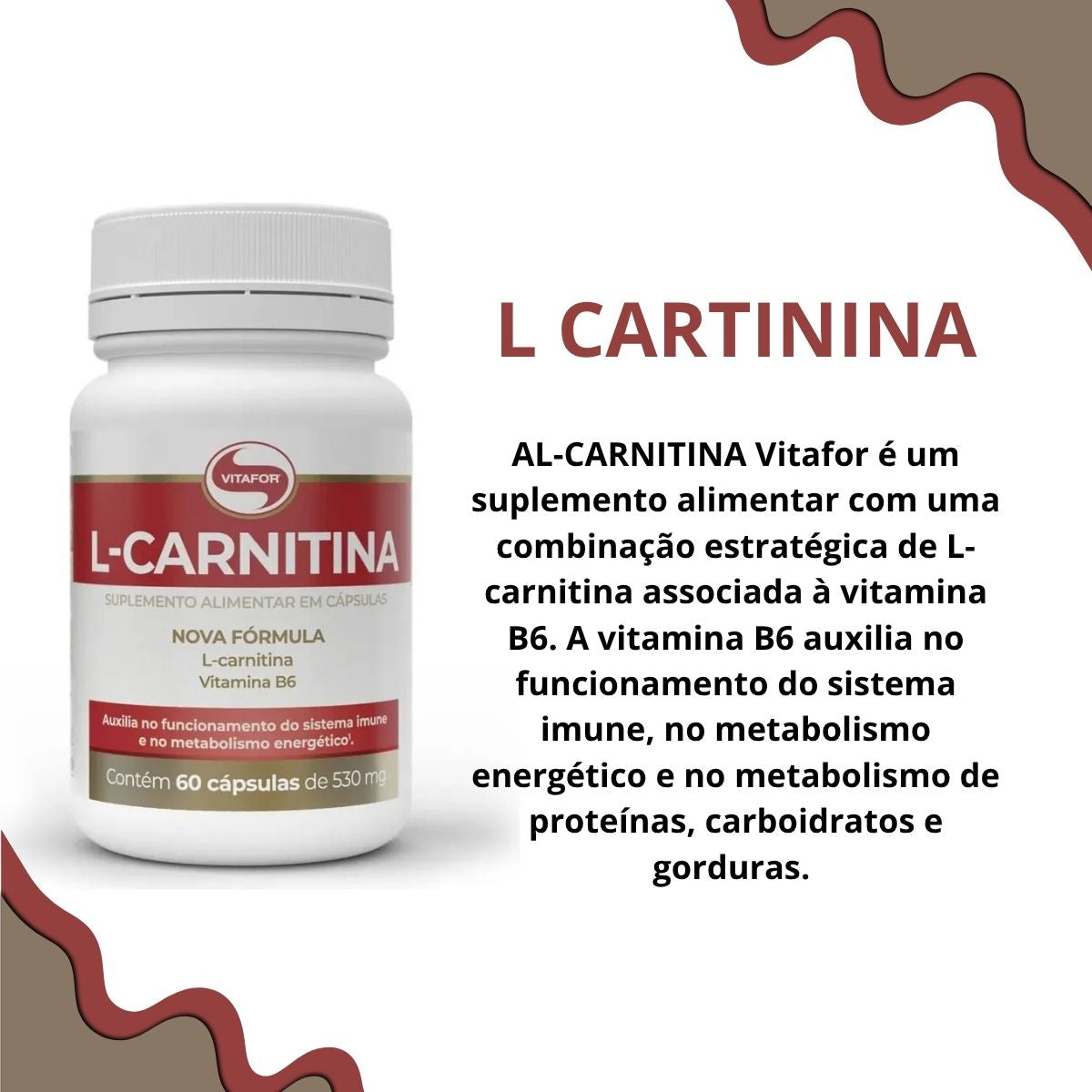 L Carnitina Vitafor | 60 cápsulas