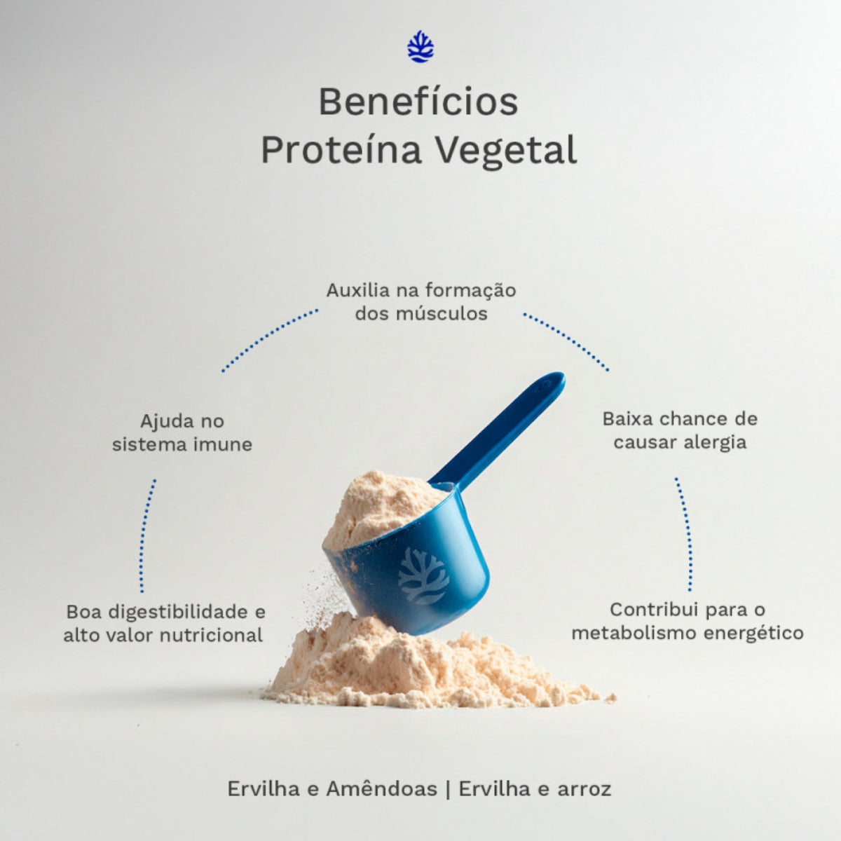 Proteína Vegetal Chocolate com Avelã Ocean Drop | 450g