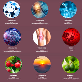 Alpha Women Multivitamínico para Mulheres Puravida | 60 cápsulas