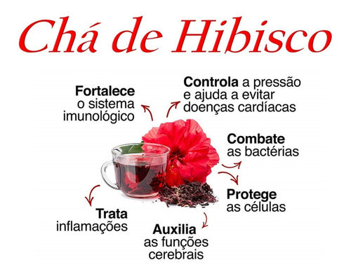Chá De Hibisco - Chá Mais Clinicmais 10 Envelopes