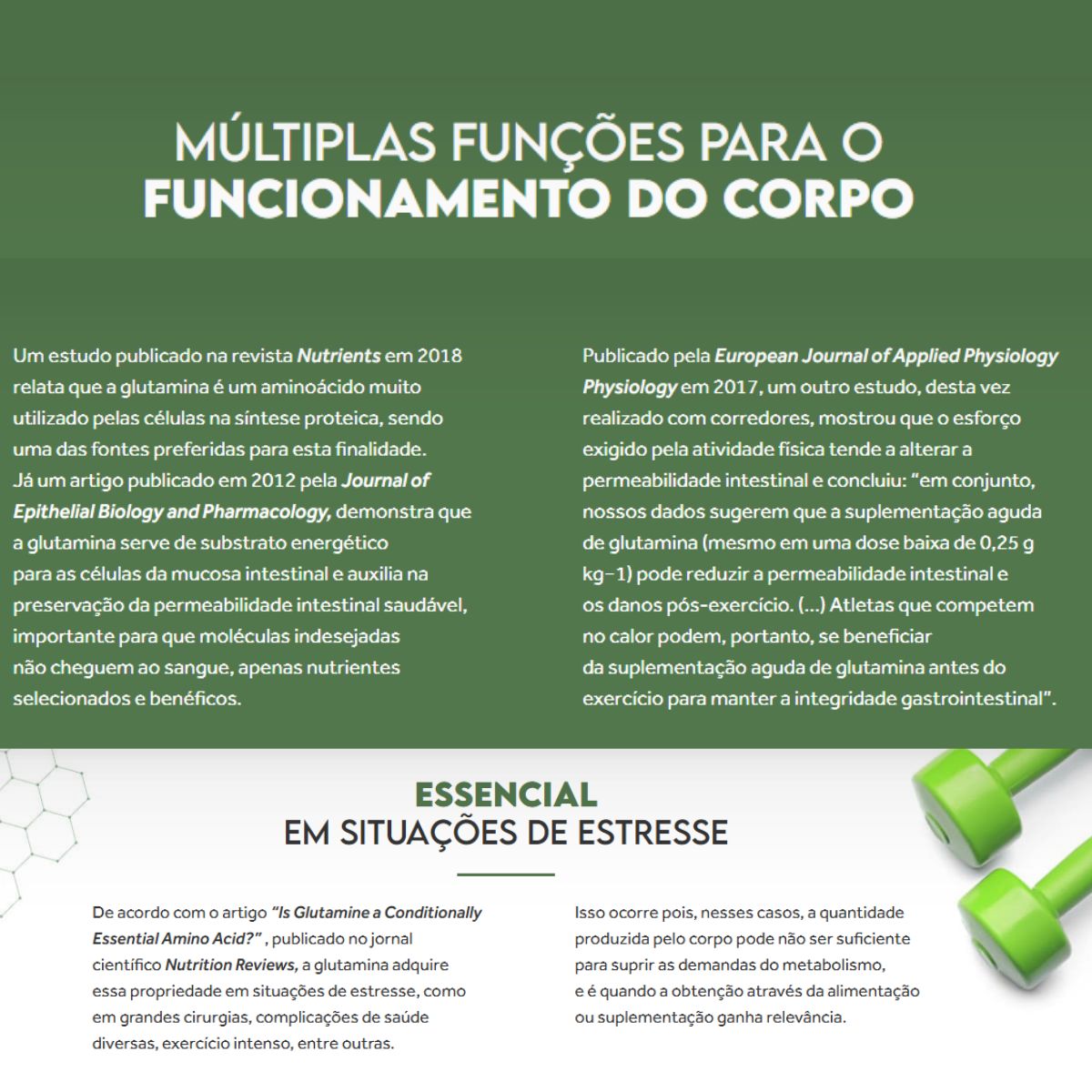 Glutamina Puravida de Alta Qualidade | 300g