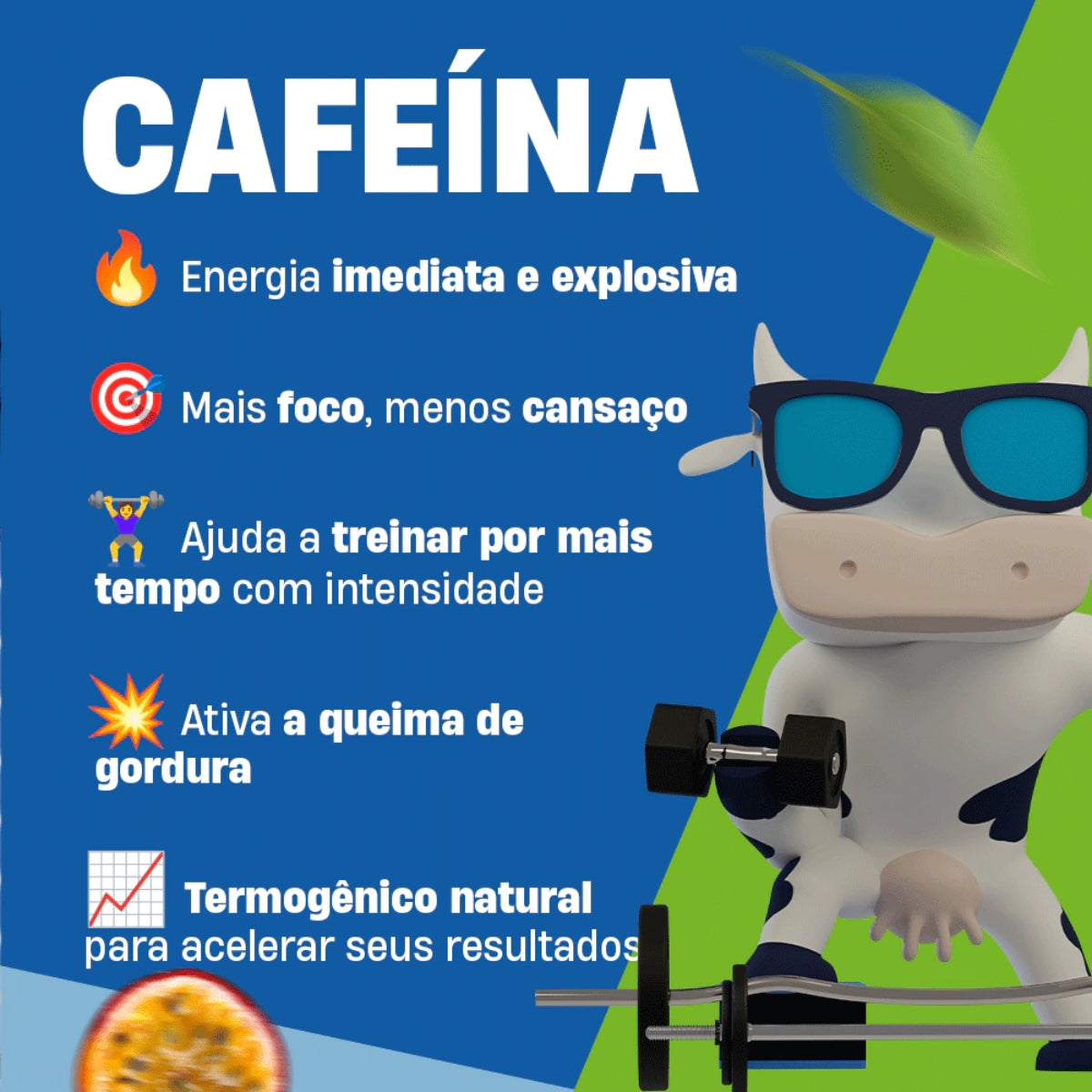 51bbb15b4e36f3a77fbccc68c72314fc