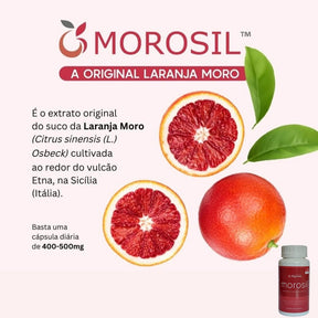 Morosil Galena | Labor Química Alquimia | 30 cápsulas