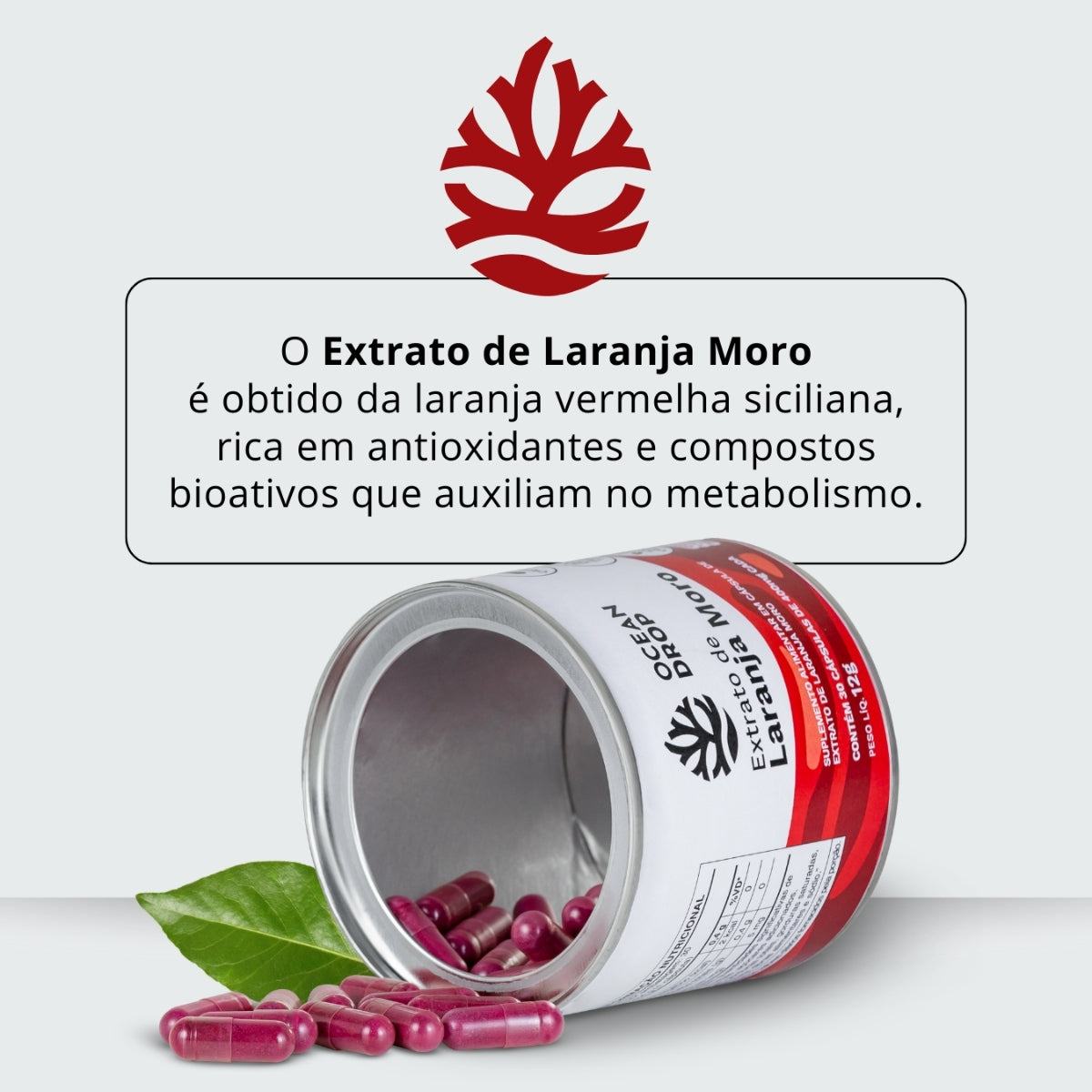 Extrato de Laranja Moro 500mg Ocean Drop | 30 cápsulas