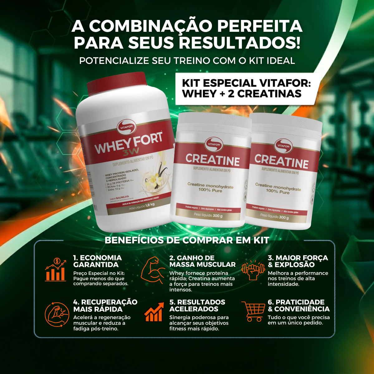 Whey Fort Baunilha (1,8kg) +2 Creatinas de (300g) – Vitafor