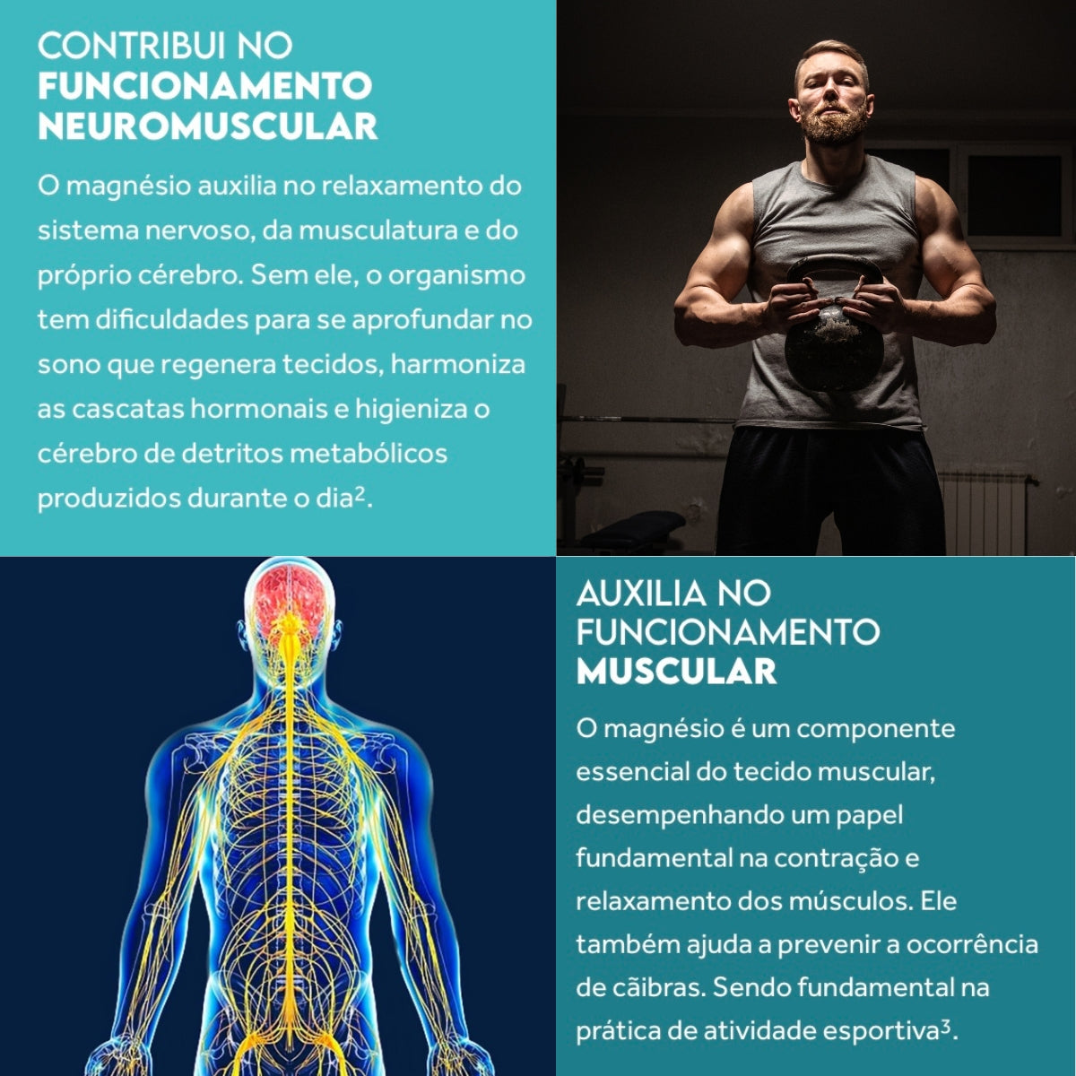 9cf456101c6531c3eecbc3a442ae3955