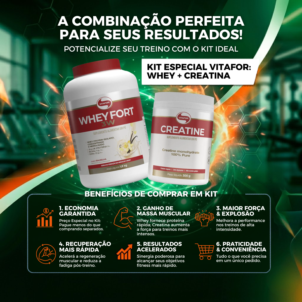 Whey Fort Baunilha (1,8kg) + Creatina (300g) – Vitafor