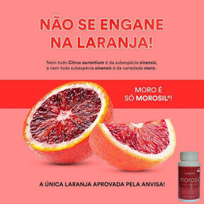 Morosil Galena | Labor Química Alquimia | 30 cápsulas